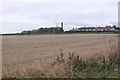 Stubble, Braehead of Lunan