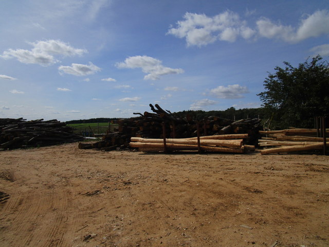 Timber stack at Bush Pit Sheds