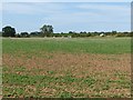 Field near Hockerton