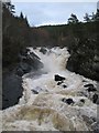NH4458 : Rogie Falls by Adrian Taylor