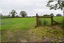 H5672 : An open field, Mullaghslin Glebe by Kenneth  Allen