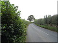 Kirkby Road towards Ripon