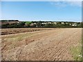 View towards Littleham