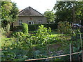 Bountiful allotments by St John