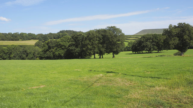 Grassland near Lower Maestorglwydd