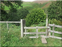 NT9522 : Stile, Harthope Valley by Geoff Holland