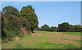 TQ5399 : Field near White Bear House, Stanford Rivers by Roger Jones