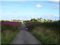 NK0156 : Minor road towards Blackhills Farm by JThomas