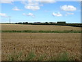 Crop fields and drain, Lintmill
