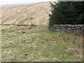 Hillside above Rowantree Craig