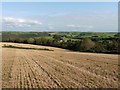 Field of stubble above Whitehall House