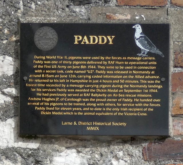 Memorial to Paddy