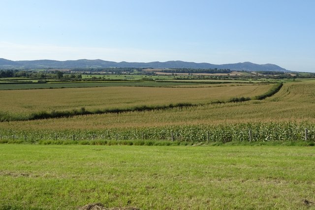 Farmland on Longdon Marsh