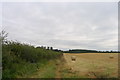 Field near Hill Top Farm