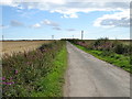 Farm road towards Longhill