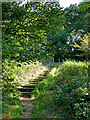 Footpath steps near Sedgley, Dudley