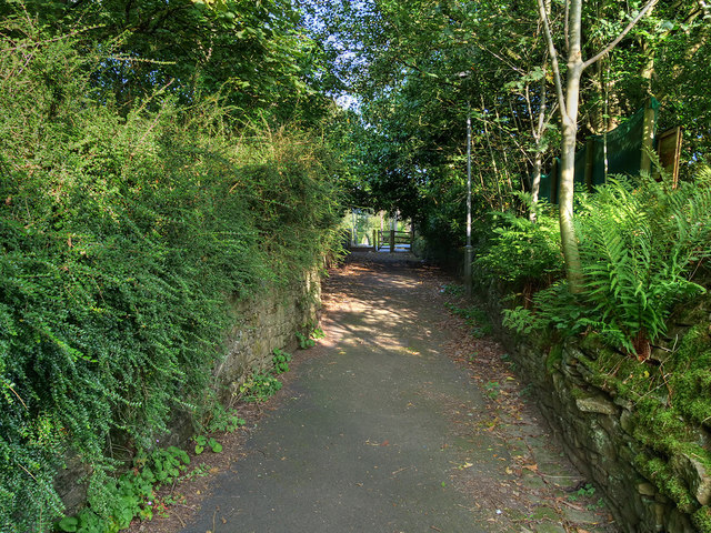 Path from Hill Street to Bass Lane