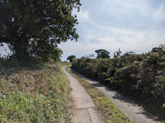Devon country lane with grass growing in the middle
