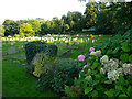 View in Calverley churchyard