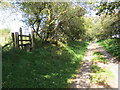 Llwybr yn gadael yr heol / Path exiting the road