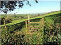 Llwybr ger Maes-Ifan / Path near Maes-Ifan