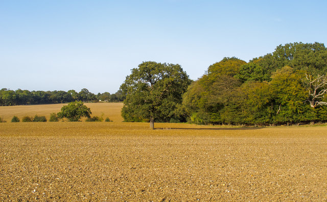 Tilled field, Navestock Side © Roger Jones :: Geograph Britain and Ireland