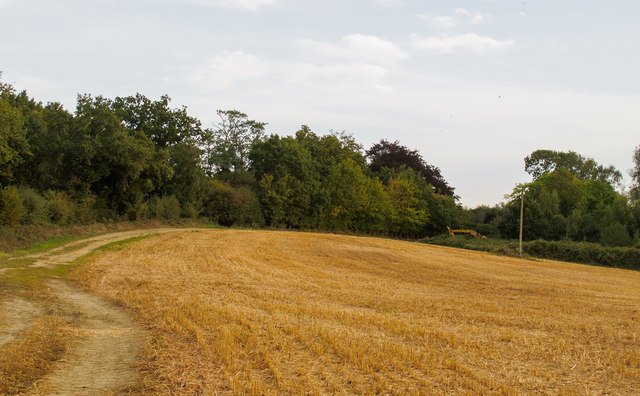 Harvested field near Pump Farm Cottages, Kelvedon Hatch