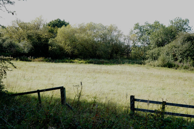 A field by Brampton Valley Way