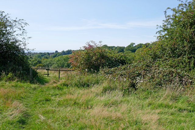 Cotwall End Nature Reserve near Sedgley,... © Roger Kidd :: Geograph ...