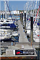 SX4953 : Plymouth Yacht Haven by Stephen McKay