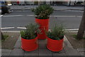 View of bright orange planters on The Cut