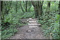 Footbridge on woodland path