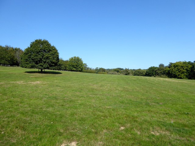 Broad Field/Long Field © Simon Carey :: Geograph Britain and Ireland