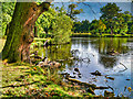 Dunham Massey, Smithy Pool