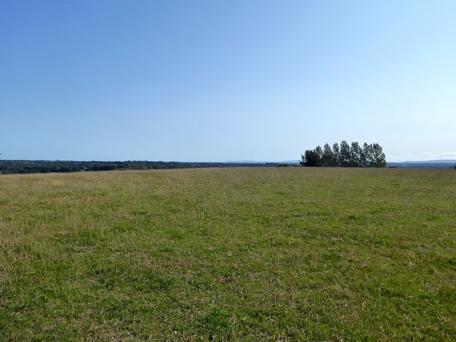 Broad Green/Wattle Field