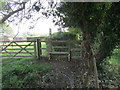 Footpath by the churchyard, Bishampton