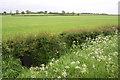 NY4659 : Grass verge, hedge and field on north side of A689 at Crossbymoor by Roger Templeman