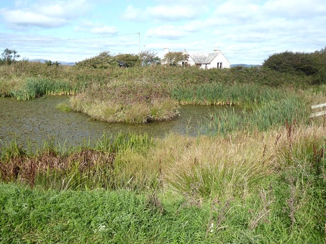 Pond and deserted cottage above South Park Farm