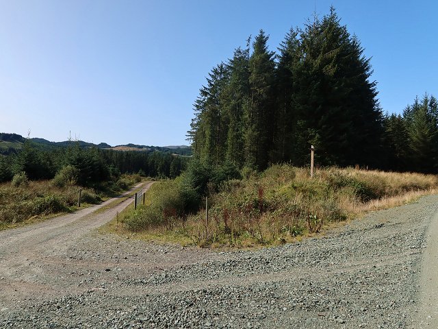 Forest roads in Inverliever Forest