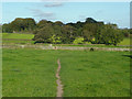 Footpath from Bobby Green to Stocks Lane, Clayton