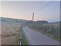 Minor road through sheep farming fields