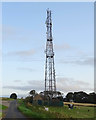 Communications mast near Dialstone Farm