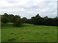 Grazing and woodland off Carr Lane