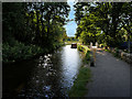 SD9524 : Rochdale Canal West of Lobb Mill Bridge by David Dixon