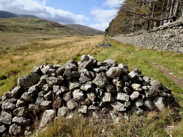 Piles of stones for the upkeep of the Tollymore Demesne's southern periphery wall