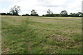 Path across a field of cut grass