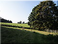 Footpath to Badby