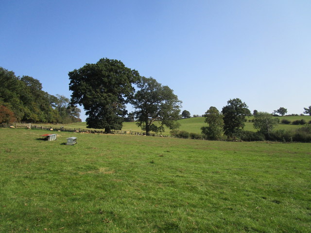 Grass field near Bullshill Farm © Jonathan Thacker cc-by-sa/2.0 ...