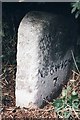 TG3201 : Old Milestone (south east face) by the A146, Norwich Road, Thurton by CW Haines