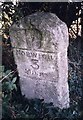 TG2103 : Old Milestone (south face) by the B1113, Keswick Parish, South Norfolk by CW Haines